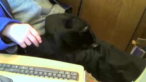 Snapshot of muller520 chatting on 02/11/25, 04:46 muller520 online show from 02/11/25, 04:46