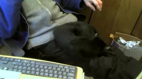 Snapshot of muller520 chatting on 02/21/25, 04:48 muller520 online show from 02/21/25, 04:48