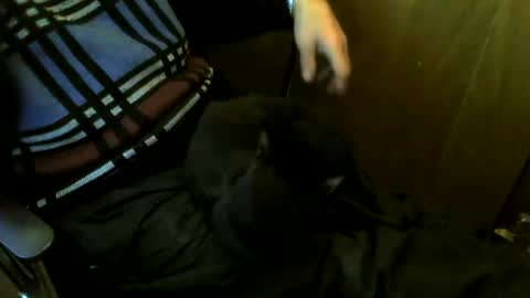 muller520 online show from 03/24/26, 04:34