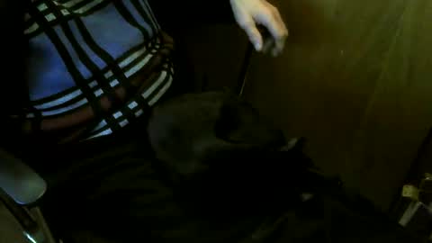 muller520 online show from 03/27/26, 07:35