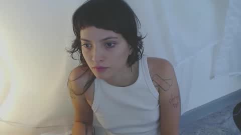   online show from 11/19/25, 04:51