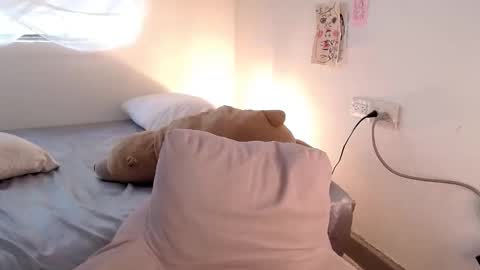   online show from 02/17/26, 08:04