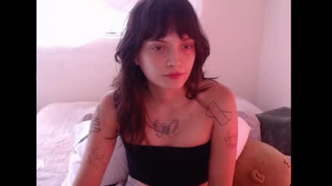   online show from 04/07/26, 07:14