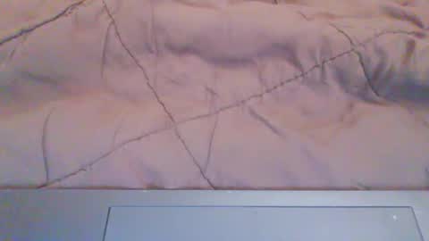 Snapshot of mushman87 chatting on 01/30/25, 05:28 Mushman online show from 01/30/25, 05:28