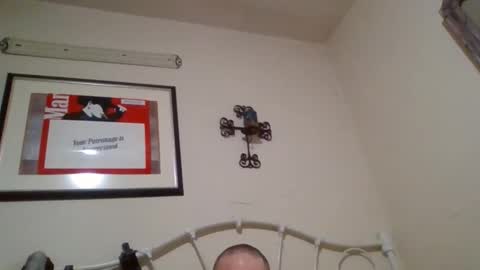 mustang2020gt123 online show from 02/04/26, 11:27