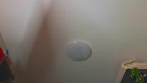 Snapshot of my_parisss chatting on 12/25/24, 06:19  PARIS   online show from 12/25/24, 06:19