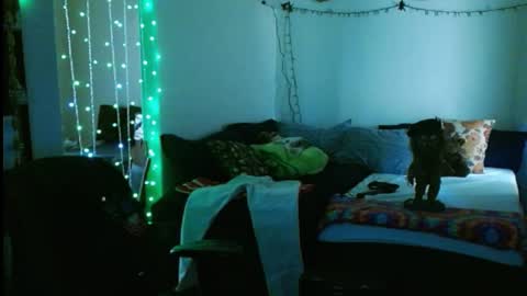 Snapshot of mycock4u247 chatting on 02/16/25, 10:10 LA MARIPOSA DE MARICOPA online show from 02/16/25, 10:10