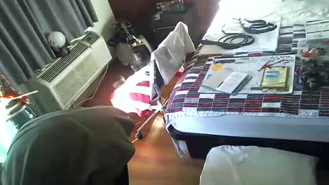 LA MARIPOSA DE MARICOPA online show from 11/30/25, 03:16