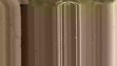 Ricky online show from 11/12/25, 03:12