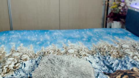 Myrabelle24 online show from 03/05/25, 10:44