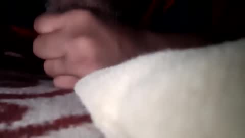 Snapshot of mysolo198777 chatting on 01/10/26, 07:37 Mysolo1987 online show from 01/10/26, 07:37