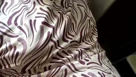 Snapshot of mysolo198777 chatting on 01/16/26, 09:02 Mysolo1987 online show from 01/16/26, 09:02