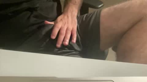 myStallion online show from 10/14/25, 08:42