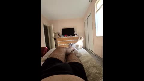 Snapshot of mysterbearmg chatting on 09/27/25, 06:46 mysterbearmg online show from 09/27/25, 06:46