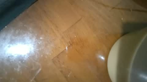 bigassdildomachine online show from 11/30/25, 05:55