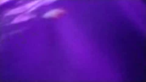 n298033 online show from 09/23/25, 05:05