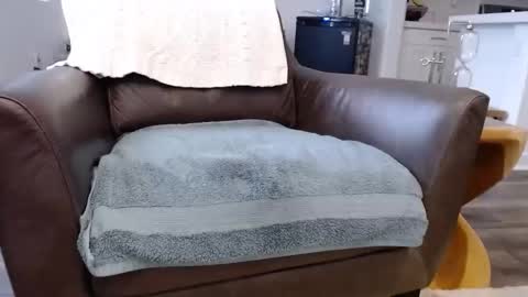 Snapshot of n2deeeep chatting on 11/10/25, 03:55 Lynn online show from 11/10/25, 03:55