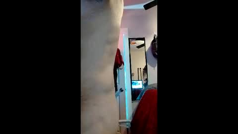 cheesechip online show from 12/19/25, 12:50