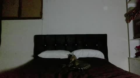 Nahomy online show from 04/01/26, 02:23