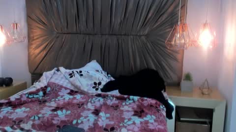 nai_blue online show from 10/07/25, 03:14