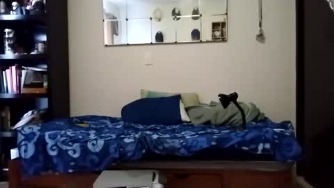 Snapshot of nak3d_lif3 chatting on 01/21/25, 11:55 nak3d_lif3 online show from 01/21/25, 11:55