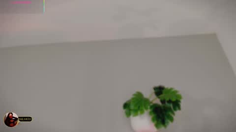 INSTAGRAM  m2221     online show from 03/03/26, 09:59