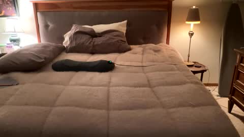 Masturbating boys need to be spanked. online show from 04/12/26, 02:16