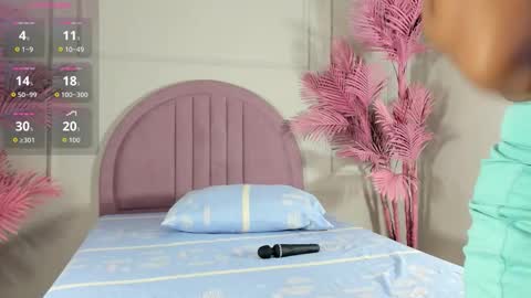 Snapshot of nalapalmer chatting on 02/14/26, 07:54 nalapalmer online show from 02/14/26, 07:54