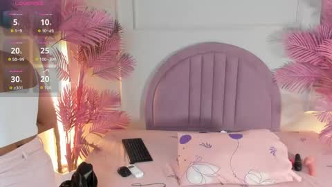 nalapalmer online show from 05/24/26, 11:37