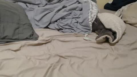 nalitonude online show from 12/23/24, 12:03