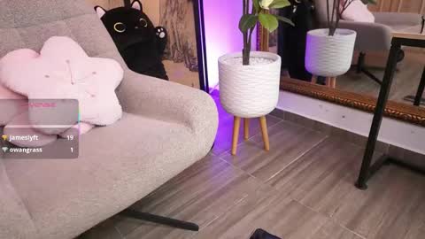 namikimura online show from 04/22/26, 07:37