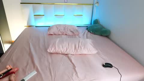 Nana Sakura online show from 04/28/26, 10:15