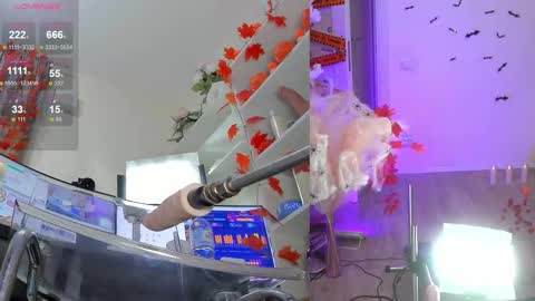 INSTAGRAM     bekkercat  online show from 11/06/25, 12:28