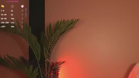 nanis_dash online show from 12/20/25, 07:32