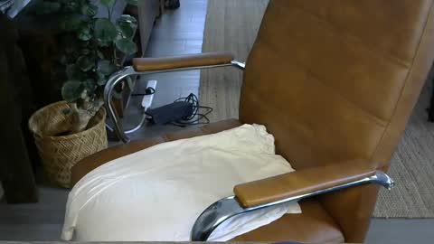 Snapshot of nareth338 chatting on 10/03/25, 03:53 nareth338 online show from 10/03/25, 03:53