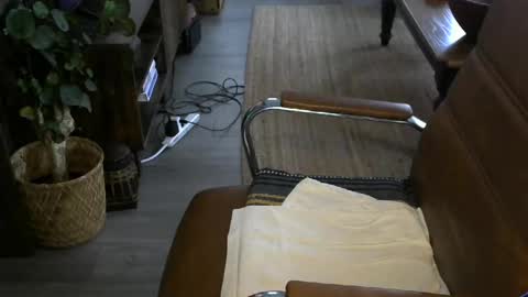 nareth338 online show from 04/08/26, 02:50