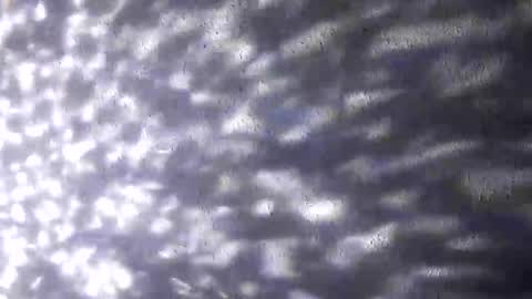 nastysubs69 online show from 12/20/25, 09:49