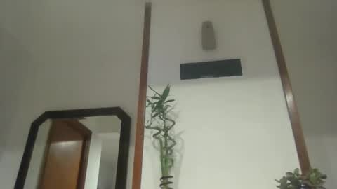 nata1974 online show from 03/03/26, 08:48