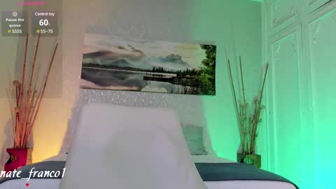 Snapshot of nate_franco chatting on 02/28/25, 08:39 Nate Franco online show from 02/28/25, 08:39