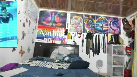 Snapshot of nathannathaniel chatting on 05/31/26, 11:06 nathan nathaniel online show from 05/31/26, 11:06