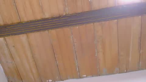 natalia online show from 09/29/25, 02:49