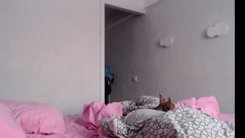 Chris Carrie online show from 02/04/25, 04:05