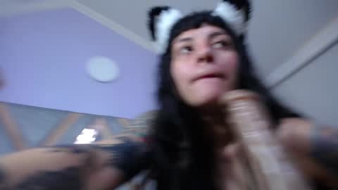 Kitten online show from 01/31/25, 05:32