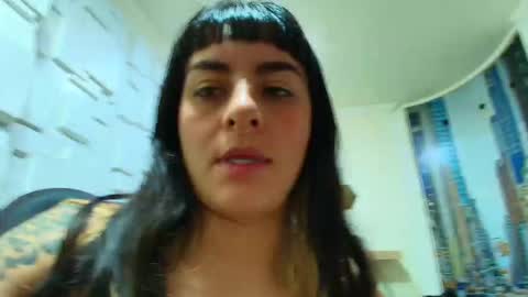 Kitten online show from 02/11/26, 10:42