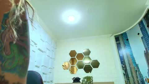 Kitten online show from 02/12/26, 10:43