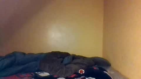 Snapshot of naughtyaura_ebony chatting on 04/26/26, 08:39 Bree doll online show from 04/26/26, 08:39