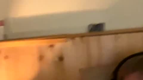 Snapshot of naughtydaddy36 chatting on 11/30/25, 10:36 Naughtydaddy36 online show from 11/30/25, 10:36