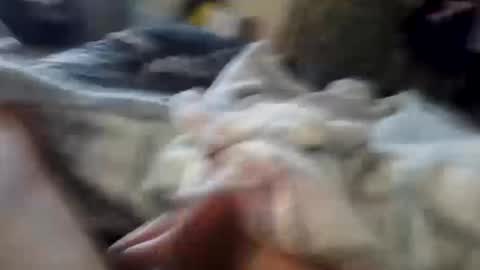 Snapshot of naughtyfelons6969 chatting on 10/04/25, 09:07 naughtyfelons6969 online show from 10/04/25, 09:07