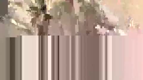 Snapshot of ndsckd chatting on 09/12/25, 11:54 ndsckd online show from 09/12/25, 11:54