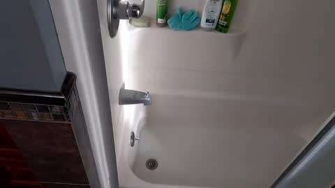 Snapshot of needsub chatting on 11/27/25, 09:50 needsub online show from 11/27/25, 09:50